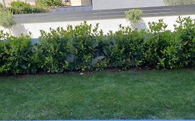 Brand New Garden Apartment